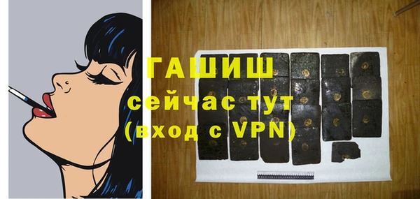 индика Новодвинск