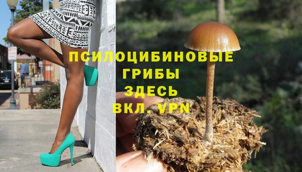 не бодяженный Абаза