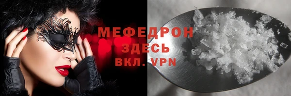 индика Новодвинск