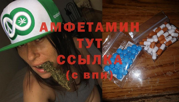 стаф Абинск