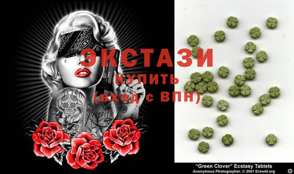 индика Новодвинск