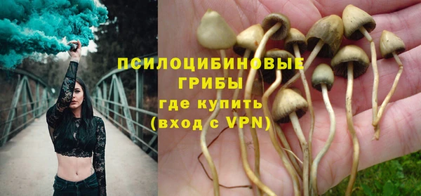 мяу мяу мука Козловка