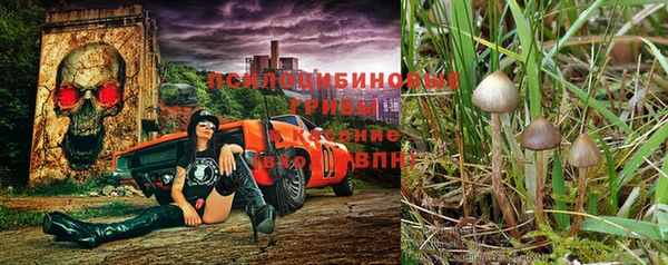 амфетамин Новокубанск
