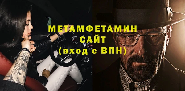 индика Новодвинск