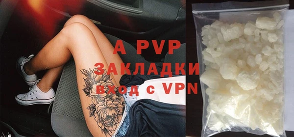индика Новодвинск